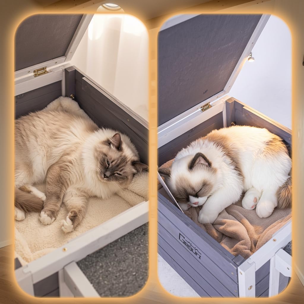 Insulated Outdoor Cat House - All-Weather Proof Shelter with Thermal Layer, Elevated Floor & Asphalt Roof for Winter, Weatherproof & Warm Shelter for Cats