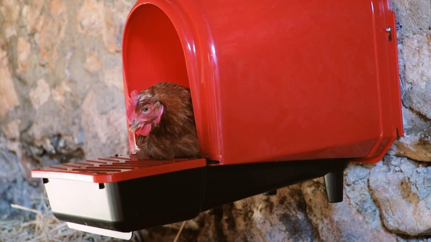 horizont Nido con deposito per uova, nido di pollo, in plastica, per un massimo di 6 polli, per montaggio a parete, nidi di legename per polli, grande scatola di ovaia, nido per pollame, accessori per