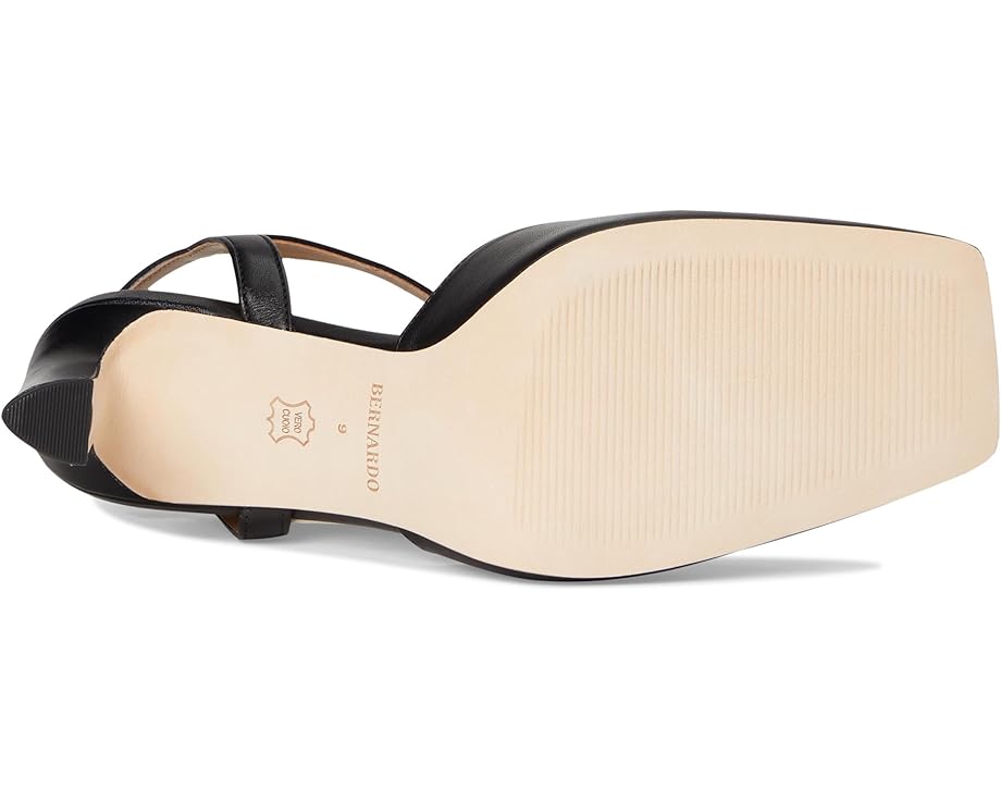 Bernardo Gama - Bottom View