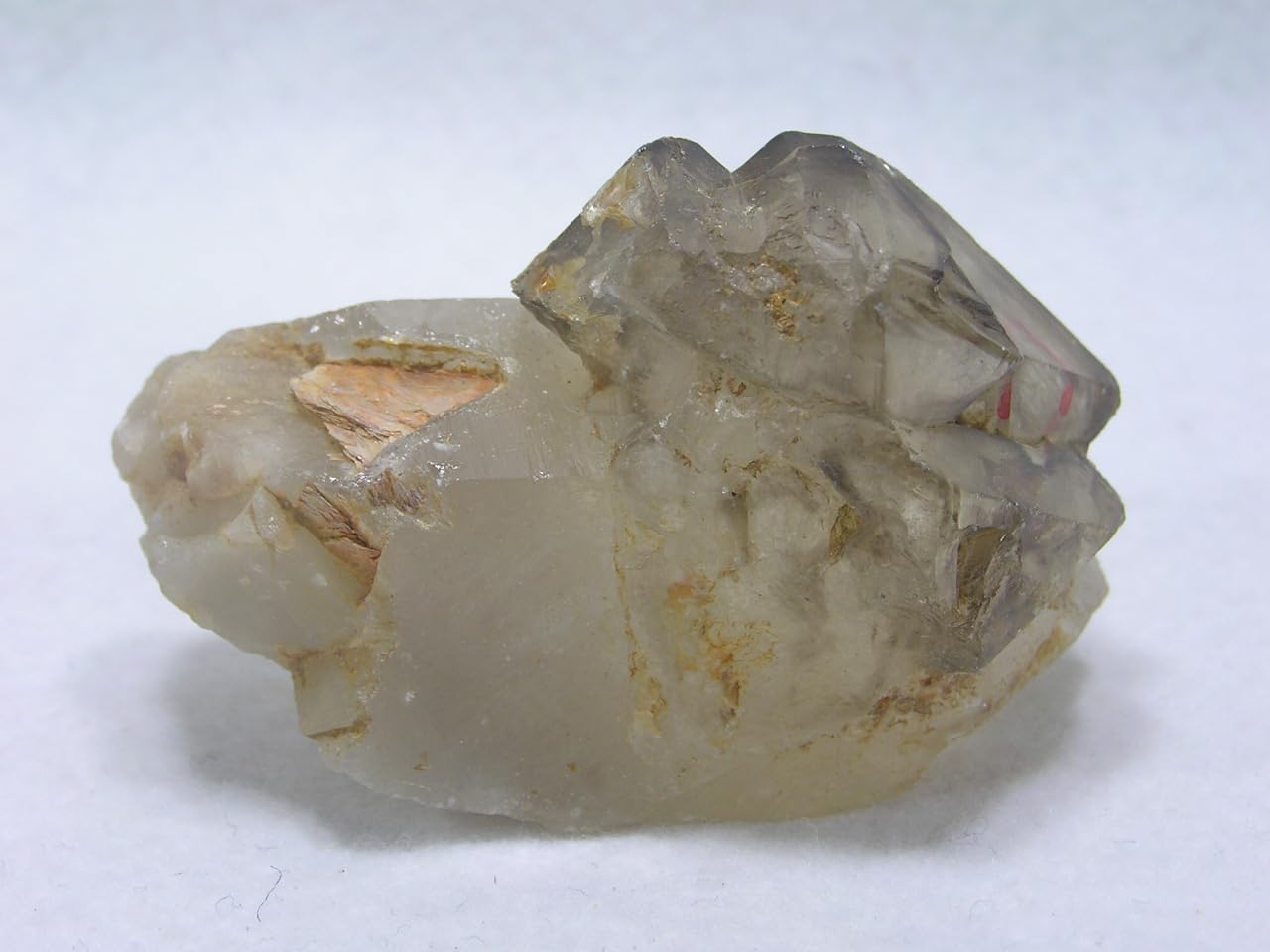 Amazon.co.jp: 天然石 アリゲータークォーツの原石 （水入り水晶