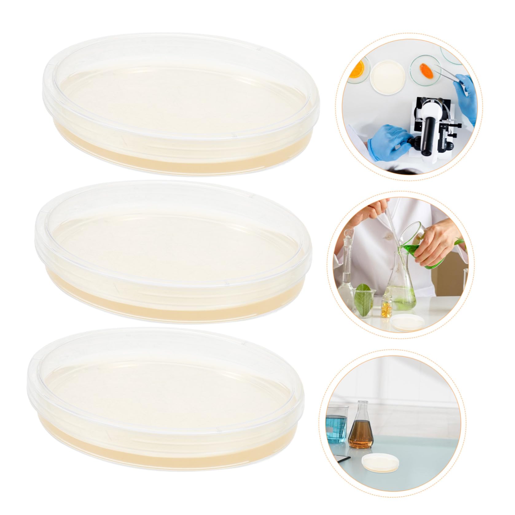 MAGICLULU Piastre di Petri Agar Nutriente Preversate 20 Pezzi Piatto Rotondo in Ps per Esperimenti Scientifici e Coltivazione Microbica in Laboratorio