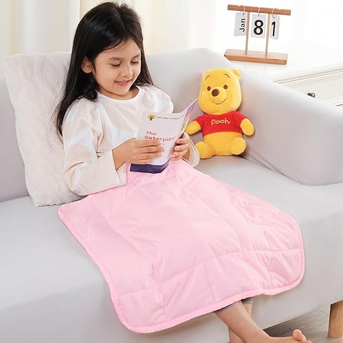 Topblan 2 lb Weighted Blanket, 19" x 21" Mini Weighted