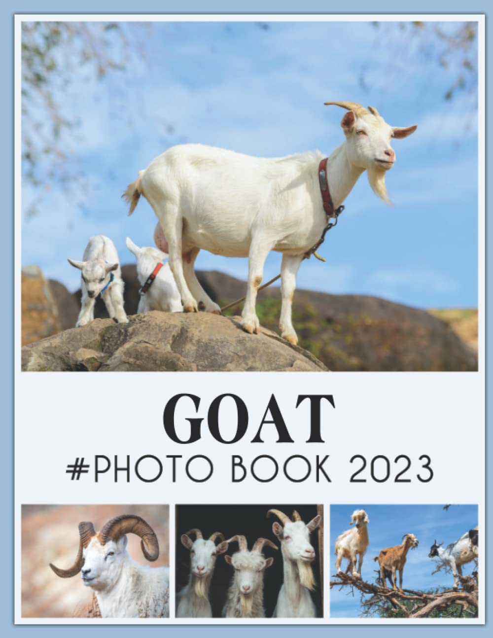 Photo Book Of Goat: Goat Picture Book For Photos With 30+ Pictures Photos, 2023 Photobook Photography Christmas Gifts For Men Women Mom Dad