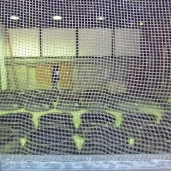 3本セット　森伊蔵 極上の一滴　長期貯蔵 芋焼酎 25度 720ml蔵純正箱付 森伊蔵酒造 極上の一滴 森伊蔵 25度 720ml 芋焼酎 ギフト プレゼント