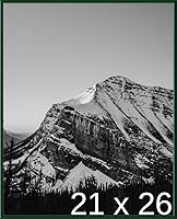 Vista 300 de Frame It Easy Marco de metal rojo de 24 x 36 pulgadas (Hanover)