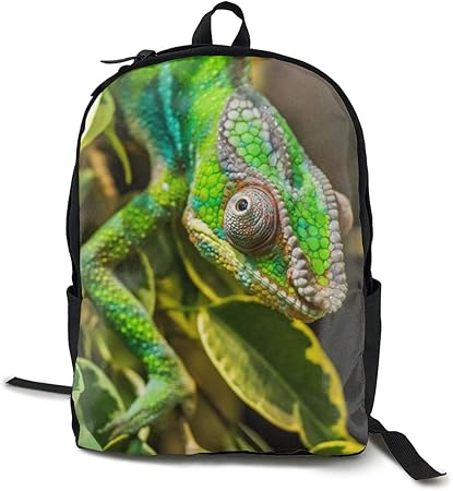 chameleon backpack amazon