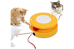 Interactive Moody Pet Fling-Ama-String Cat Toy for Exercising Bored Indoor Cats
