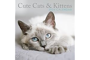 2024 Cute Cats Kittens Square Hanging Wall Calendar