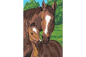Dimensions Horse Family Paint by Number Kit for Adults