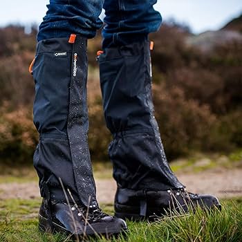 テラノヴァ　必須　 item_t45021_0.jpg