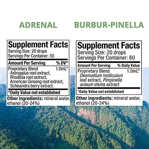 Nutramedix Energy Set - 3-Piece Kit Includes Extracts Of Astragalus, Rhodiola, Ginseng & Schisandra, Burbur-Pinella Detox Drops & Magnesium Malate Capsules For General Wellness #TOP7