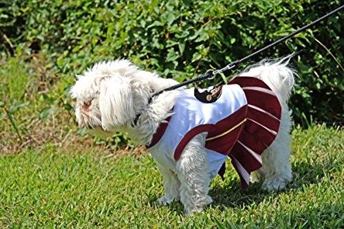 Ncaa Florida State Seminoles Dog Cheerleader Outfit, X-Small #TOP3