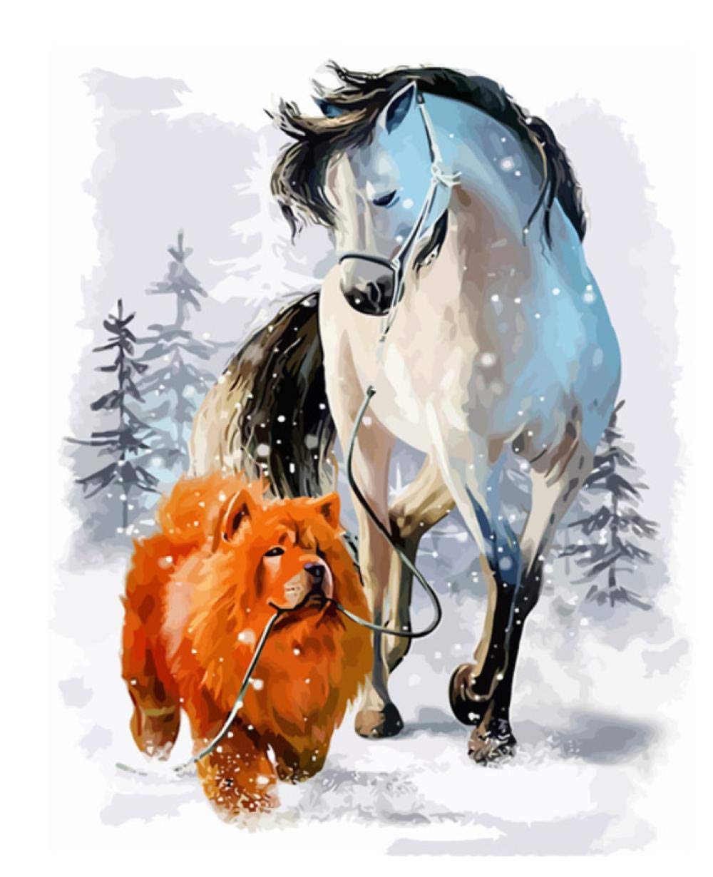 Peinture à l'huile par numéros animal tableau acrylique adulte à peindre