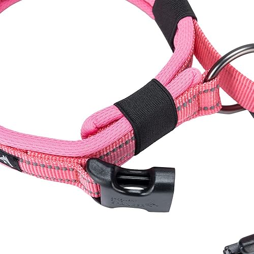 Miniatura 10 de EXCELLENT ELITE SPANKER Collar reflectante para perro, clásico, suave, acolchado, de nailon transpirable, ajustable, con hebilla de liberación