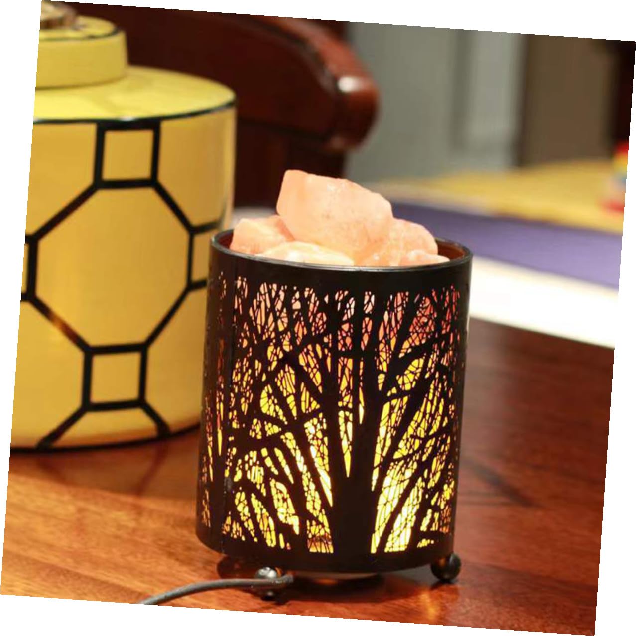 Lampe de Table Sel de L'himalaya Décorative avec Ampoules, Fer Noir