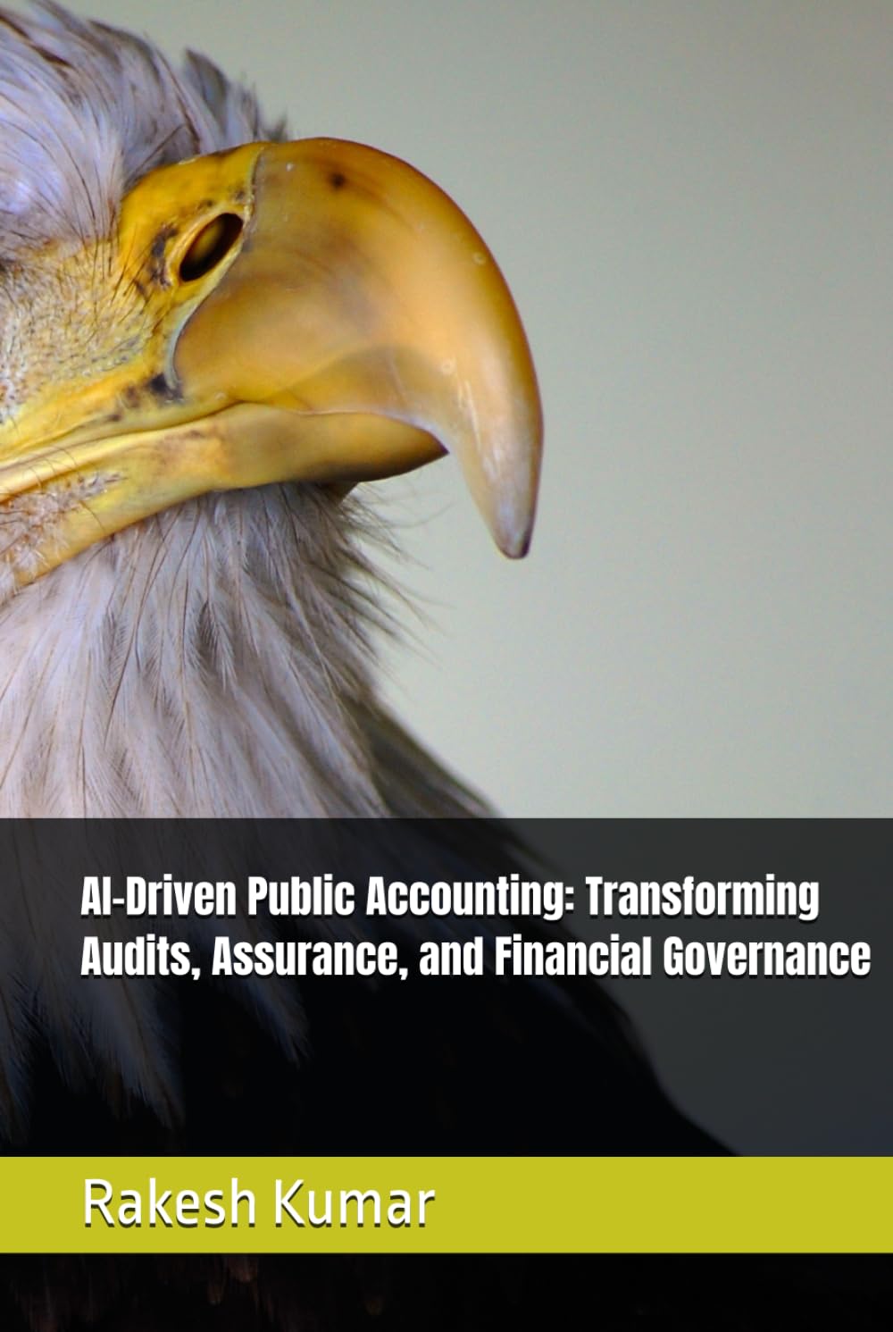 AI-Driven Public Accounting: Transforming Audits, Assurance, and Financial Governance