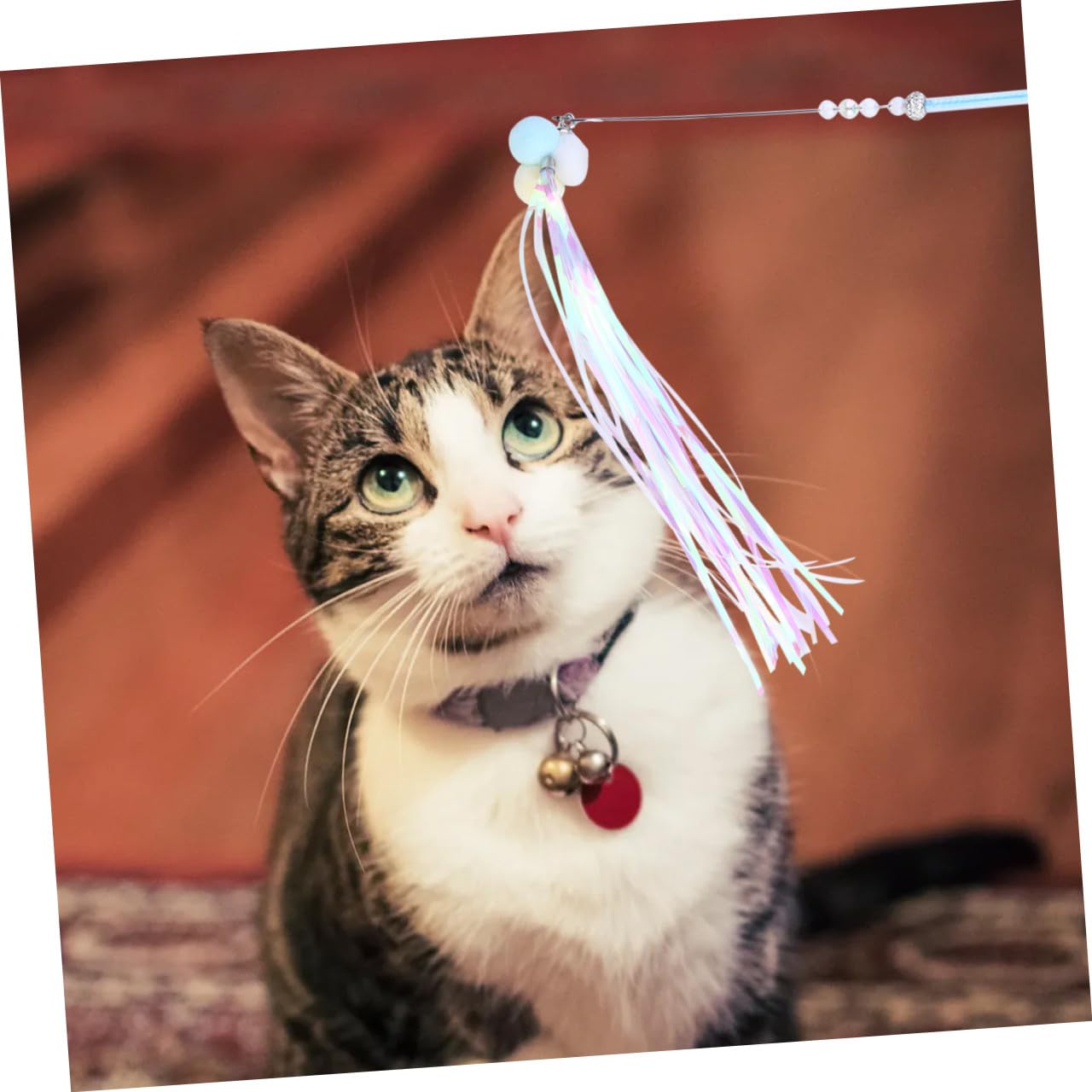 FRCOLOR Juguetes para Gatitos 9 Piezas Palo de Teaser de Borla Juguetes para Mascotas Gatito Juguetes Juguetes Juguete para Gatos Varita mágica Hada Regalo de cumpleaños Palo de burlas