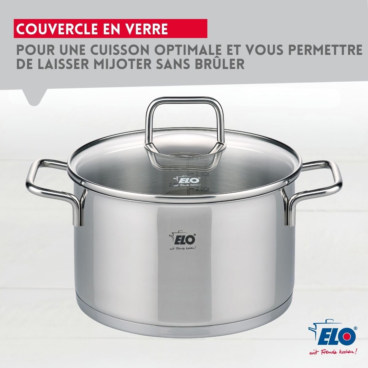 Elo Faitout inox 18/10 20 cm avec couvercle verre induction
