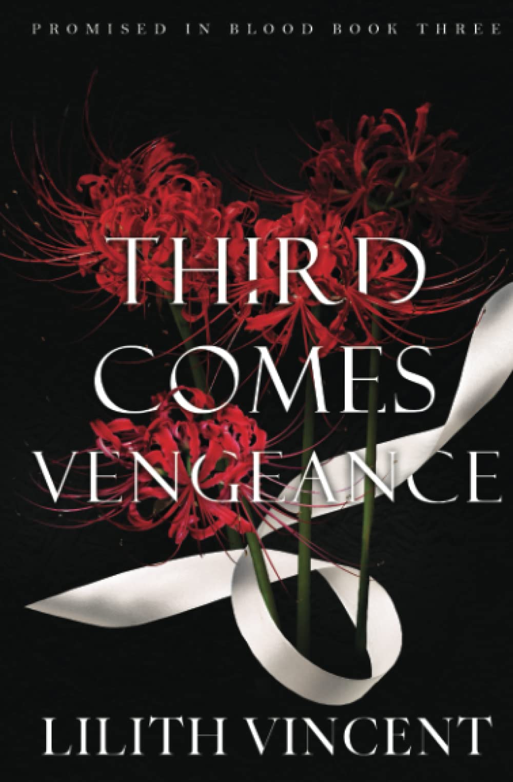 Third Comes Vengeance: A Mafia Reverse Harem Romance: 3 (Promised in Blood Special Edition)