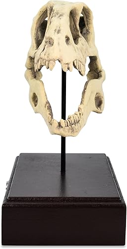 Miniatura 3 de Jurassic World Velociraptor Skull - Réplica de pisapapeles de 8 pulgadas  Decoración nostálgica de dinosaurio para escritorio de oficina