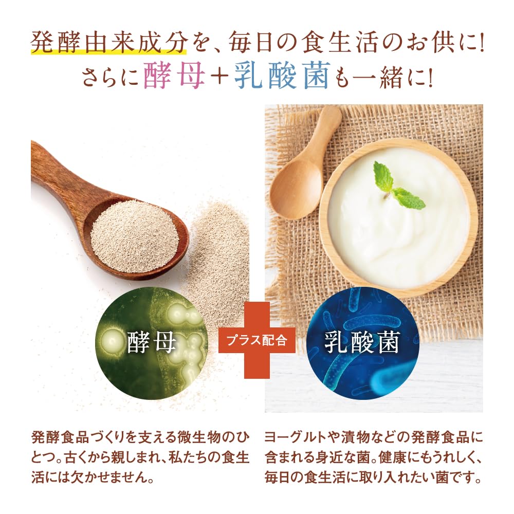 Amazon | シードコムス コンブチャ KOMBUCHA サプリメント 酵素