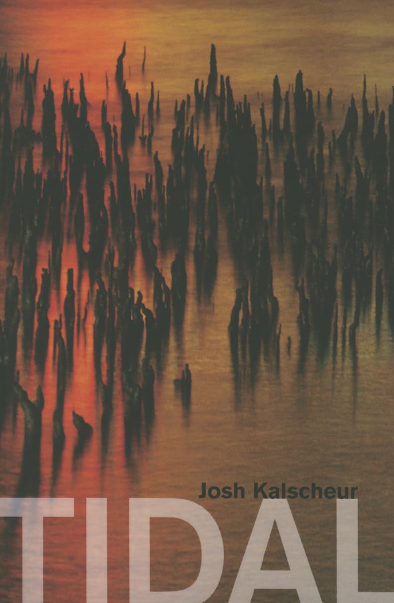 Tidal Paperback – April 7, 2015