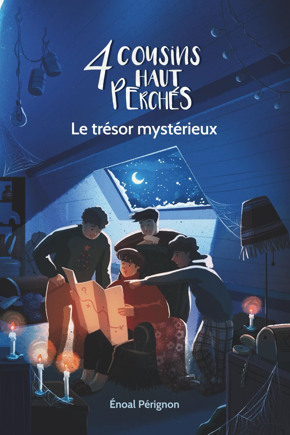 4 cousins haut perchés. Le trésor mystérieux.: Tome 3, Le trésor mystérieux
