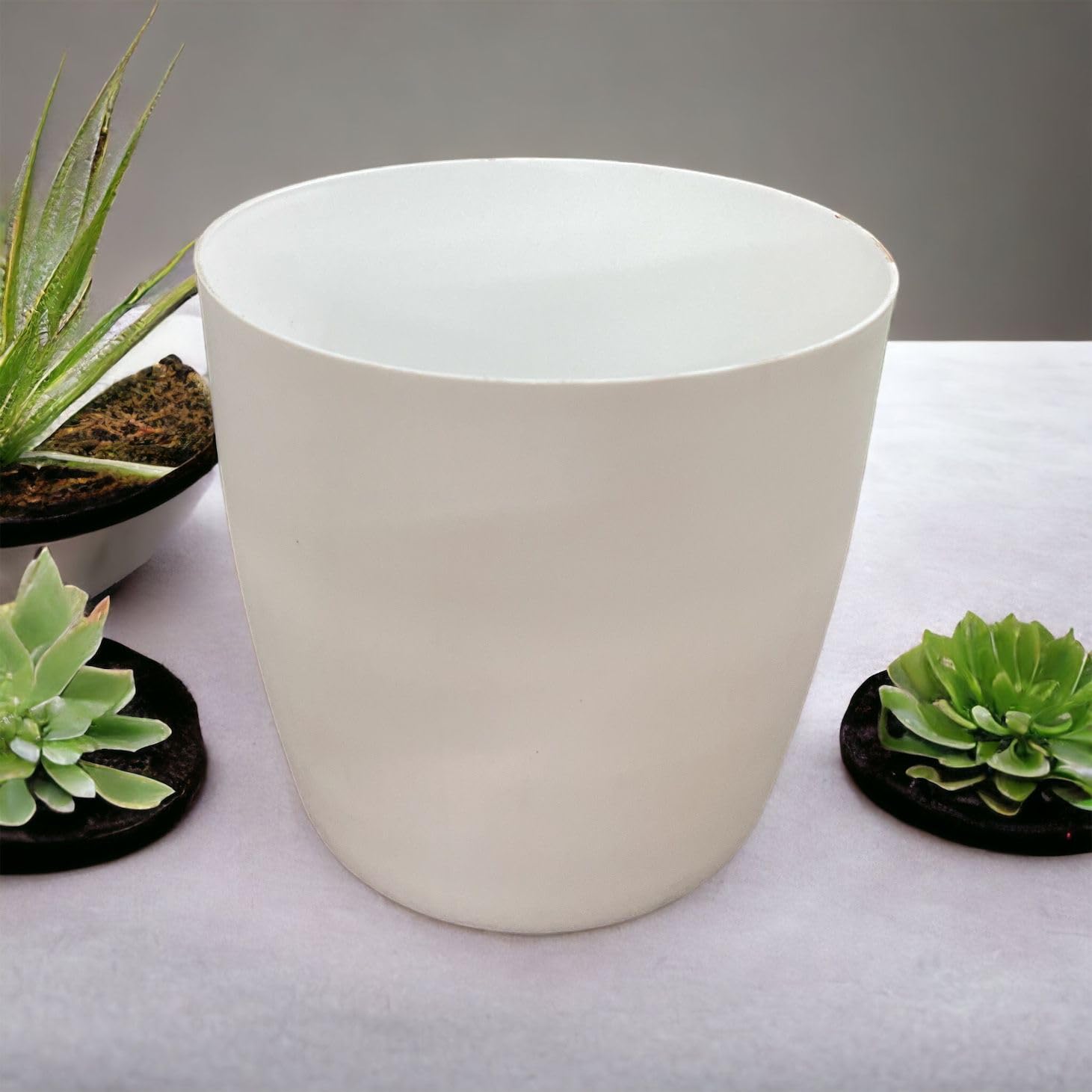 Tillage-Round Plastic Pots/Planters Size 8 inches for Indoor and Outdoor Plants (Pack of 5) (White) (B0CJVPBYY1) Amazon Price History, Amazon Price Tracker
