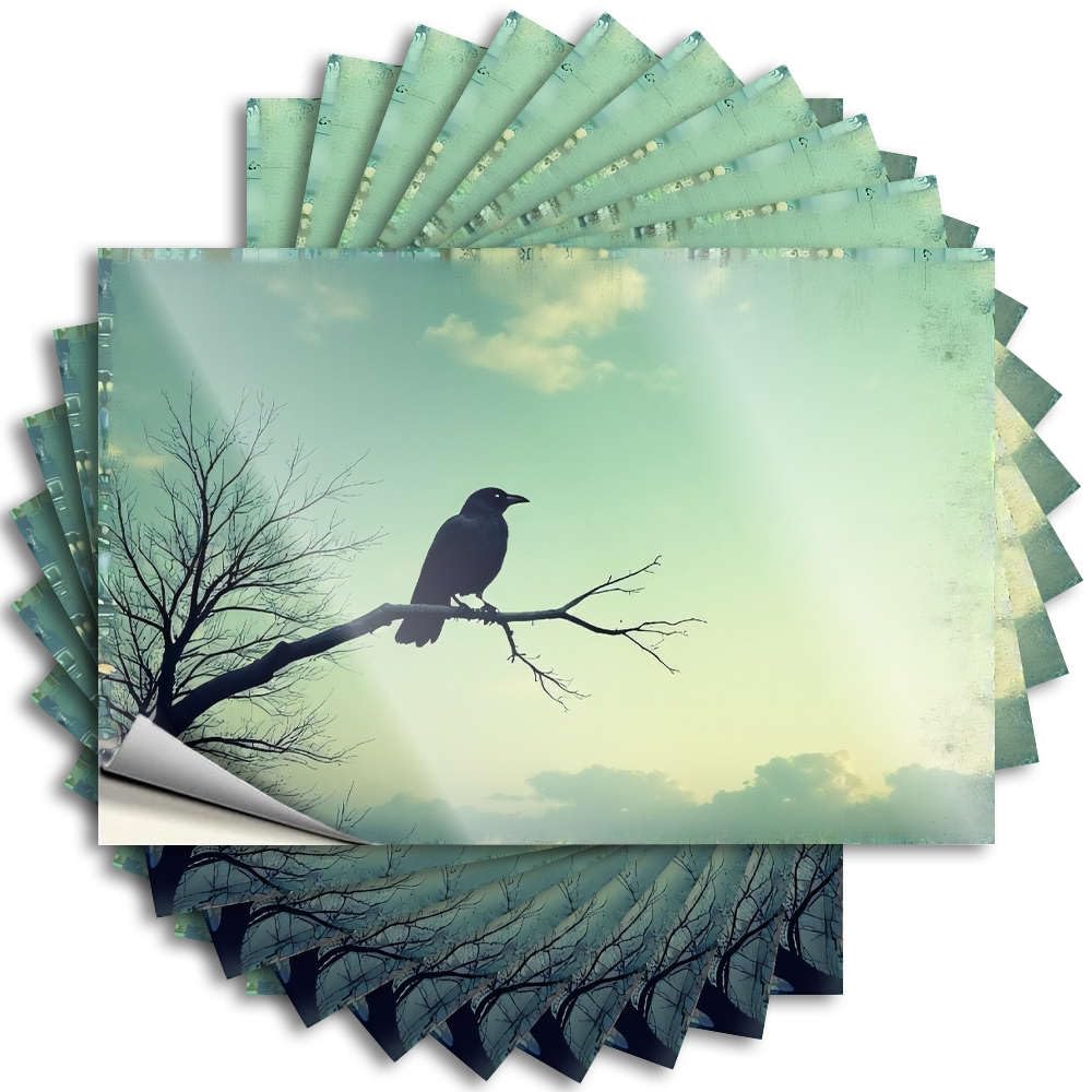 Coastal Decals, Retro Room Decor Water A Crow Perched On A Bare Tree Branch. | Funny Quote Gamers Decals(6X9CM)