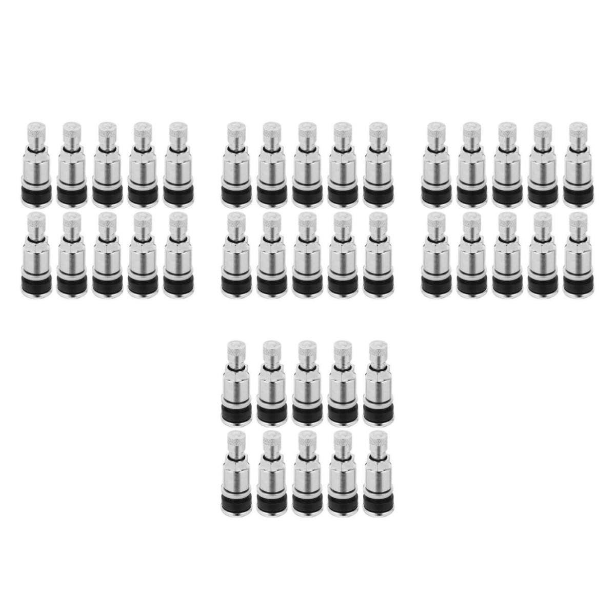 TOPBATHY 48 Pièces Tige de Valve de Pneu à Visser en Acier Inoxydable