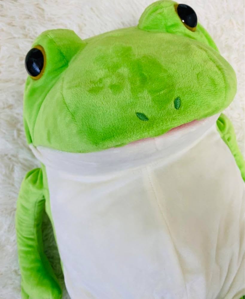 Amazon.co.jp: くったりケロさん BIGぬいぐるみ みどり 緑