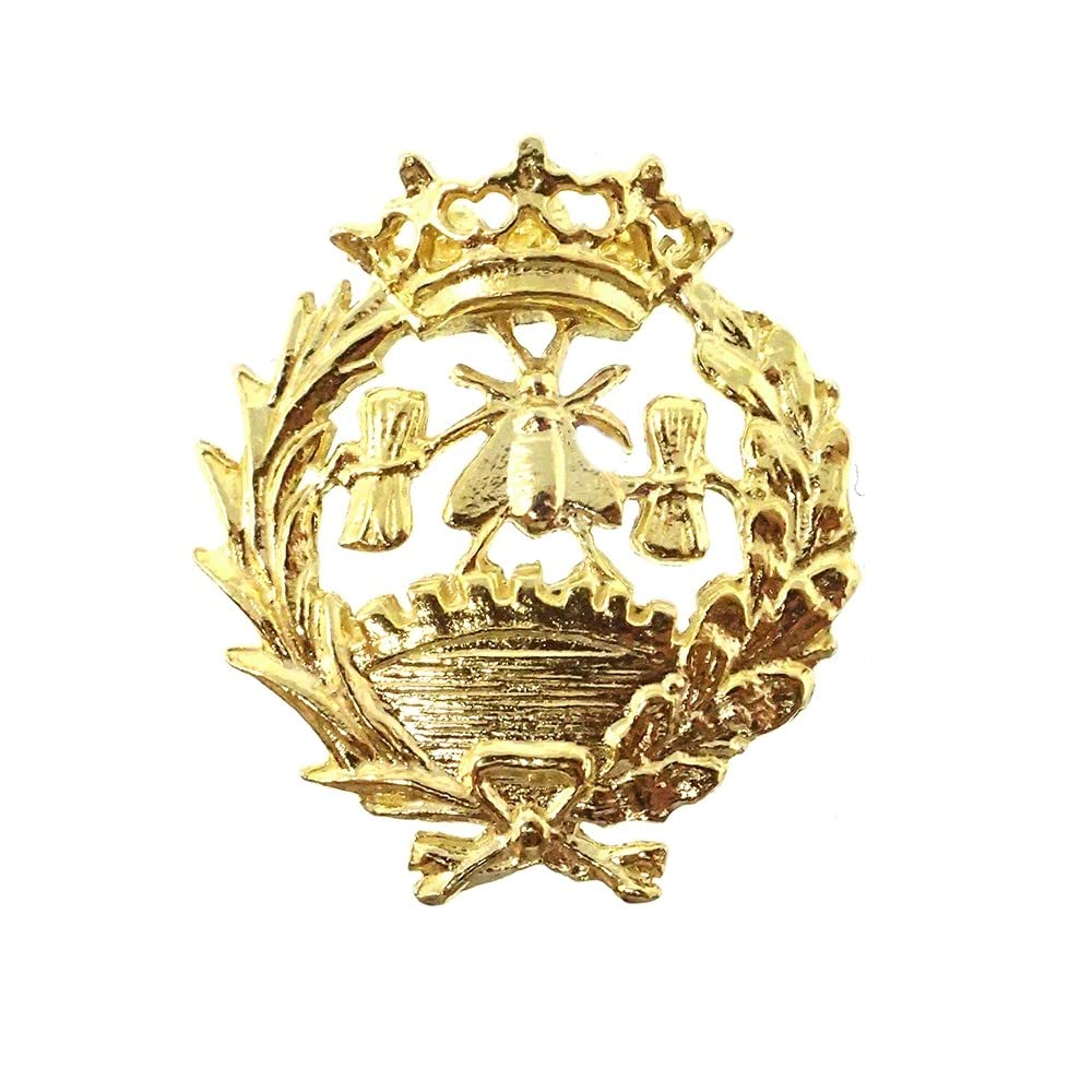 Insignia Profesional Económicas Escudo Plata 925m Ley 18mm. Pin Chapado Oro Cierre Trasero latón