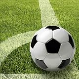 50 Servietten, 3-lagig 1/4-Falz 33 cm x 33 cm