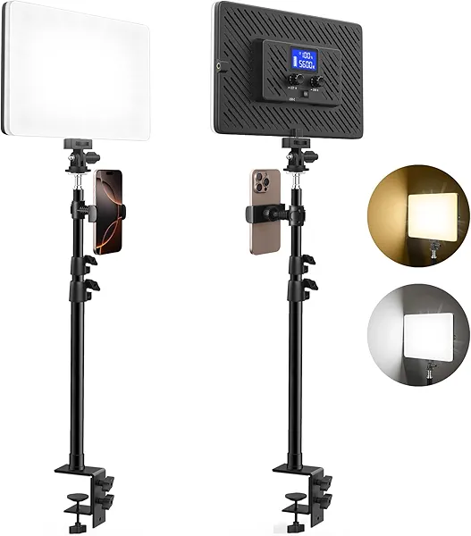 2 Pack Led Video Light Built-in 8000mAh Rechargeable Battery, LED Light Panel with Desk Clamp Mount Stand, 2200Lux Key Light Streaming Light Clamp on Photography Lighting for Video Recording