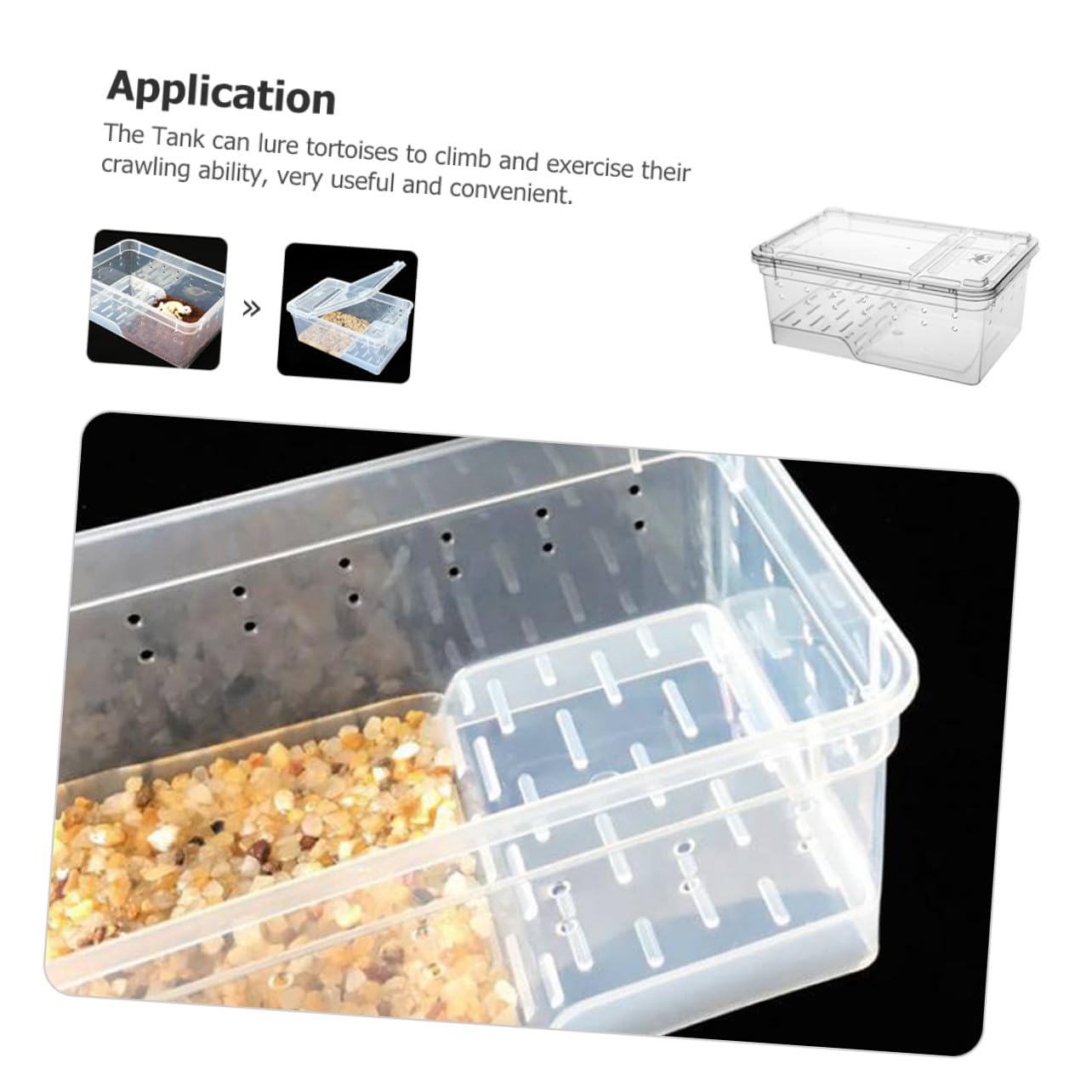 Box Tartaruga Terrario Anfibio con Piattaforma di Sole in Plastica | Area Osservazione Semplice Riposo e Alimentazione , Pendenza Adatta per Tartaruga e Testuggine