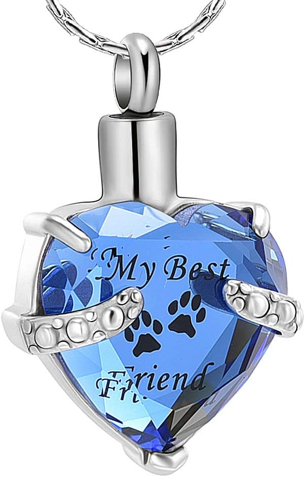 Cremation Jewelry for Ashes, My Best Friend Heart Shape Memorial Urn Necklace Stainless Steel Crystal Pendant Ashes Holder Keepsake