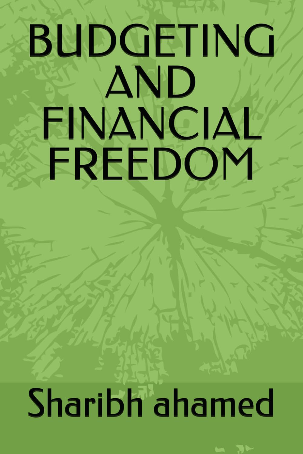 BUDGETING AND FINANCIAL FREEDOM