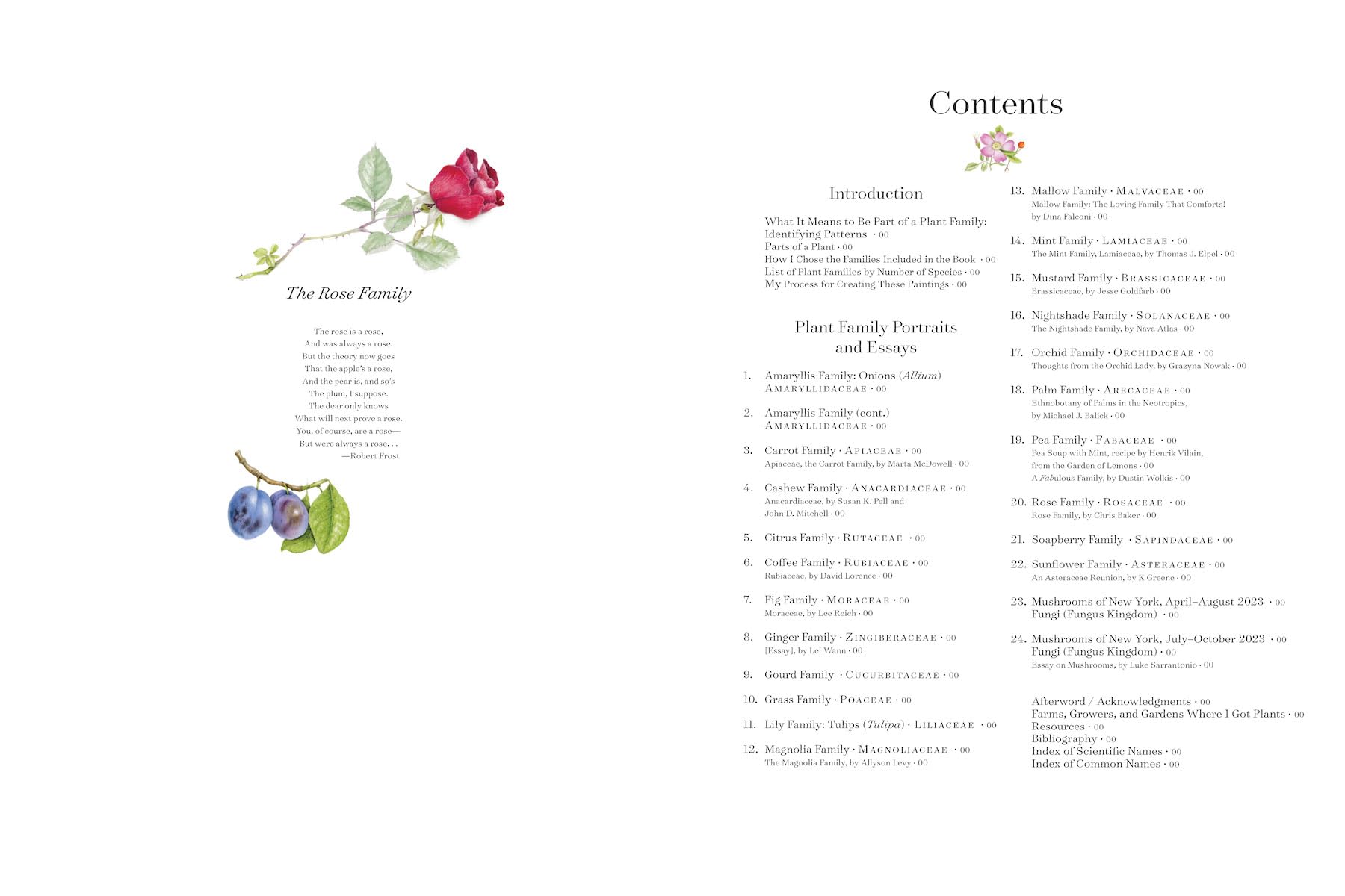 The Album of Plant Families: An Illustrated Exploration of Nature's Beauty and Bounty