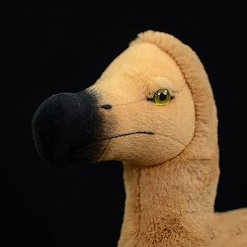 Amazon.co.jp: ZHONGXIN MADE ドドウぬいぐるみ - 本物そっくり