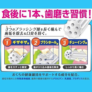 みきおページ Amazon.co.jp: ドギーマンハヤシ ホワイデント 長持ち歯みがき