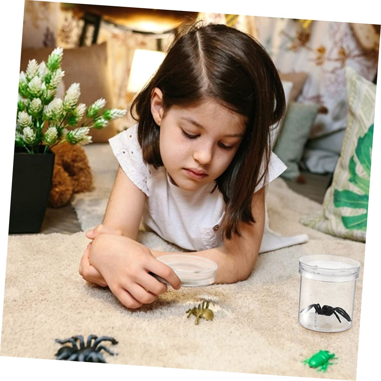 Caja de Observación de Insectos Portátil de Plástico 20 Piezas | Orificios de Renovación de Aire, para Flores y Rocas, Formato Compacto para Exploración