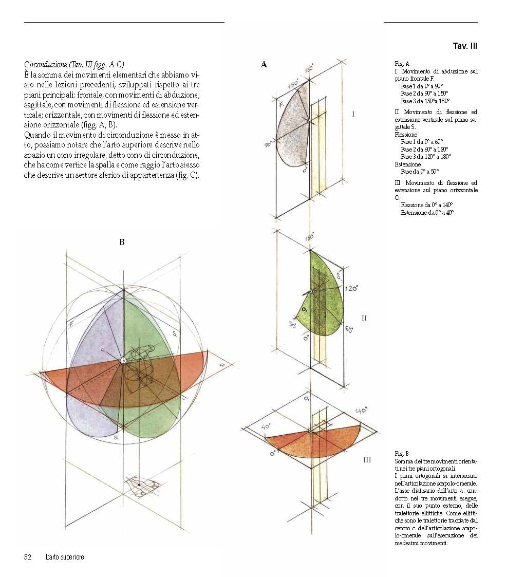 Struttura uomo in movimento. Manuale di anatomia artistica