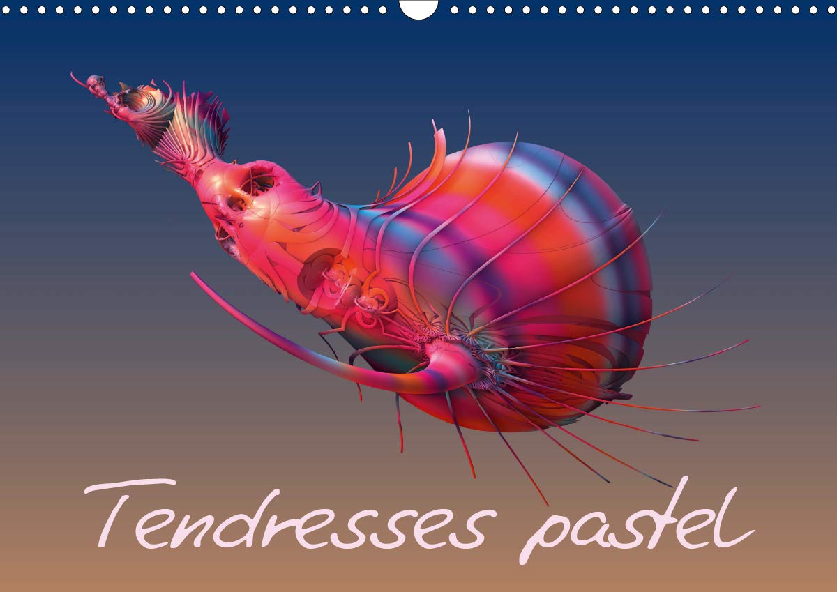 Tendresses pastel calendrier mural 2021 pour une année de douceur