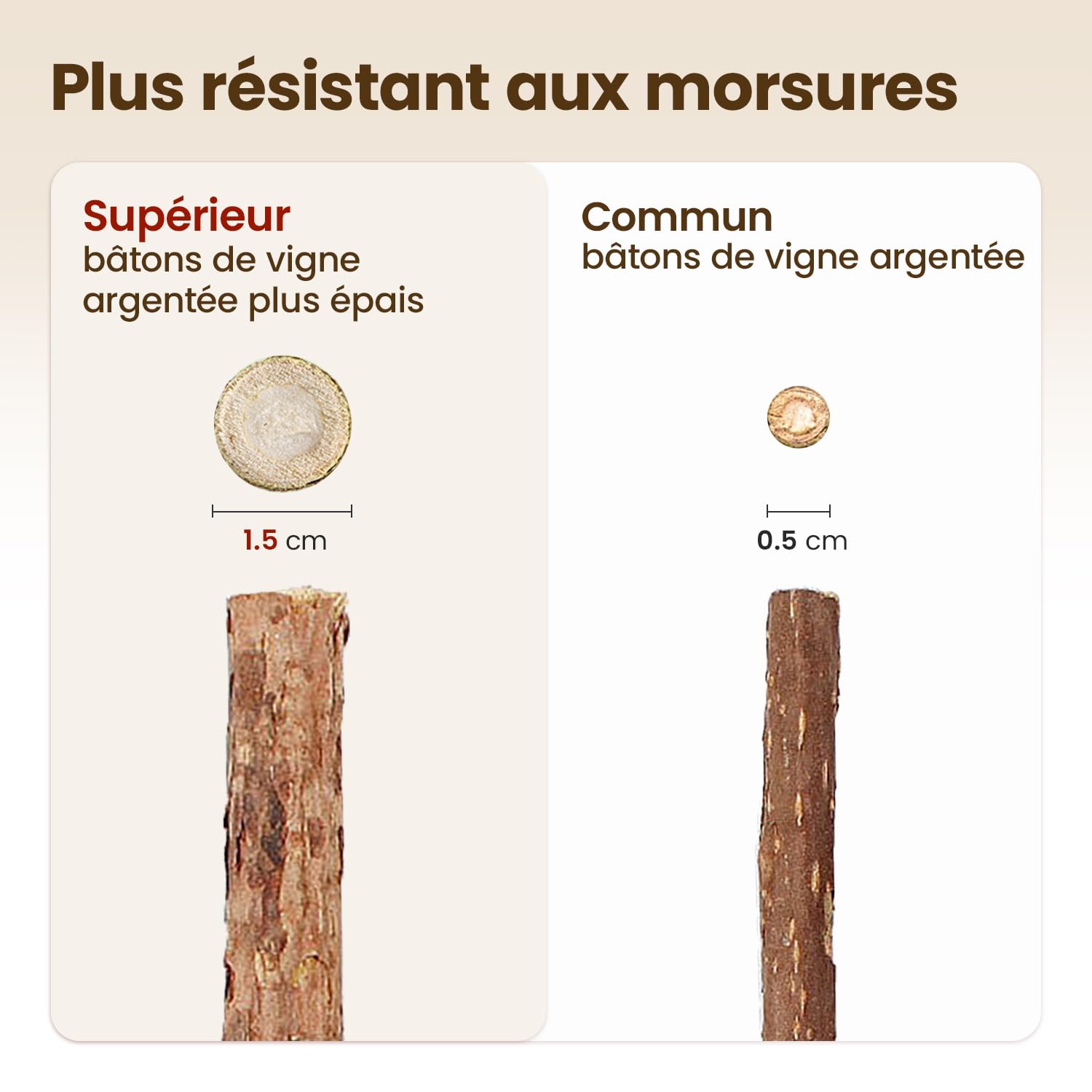 Potaroma Lot de 6 Bâtonnets Naturels pour Chats – Jouets à Mâcher avec Cataire & silvervine pour Jeu Interactif et Nettoyage des Dents