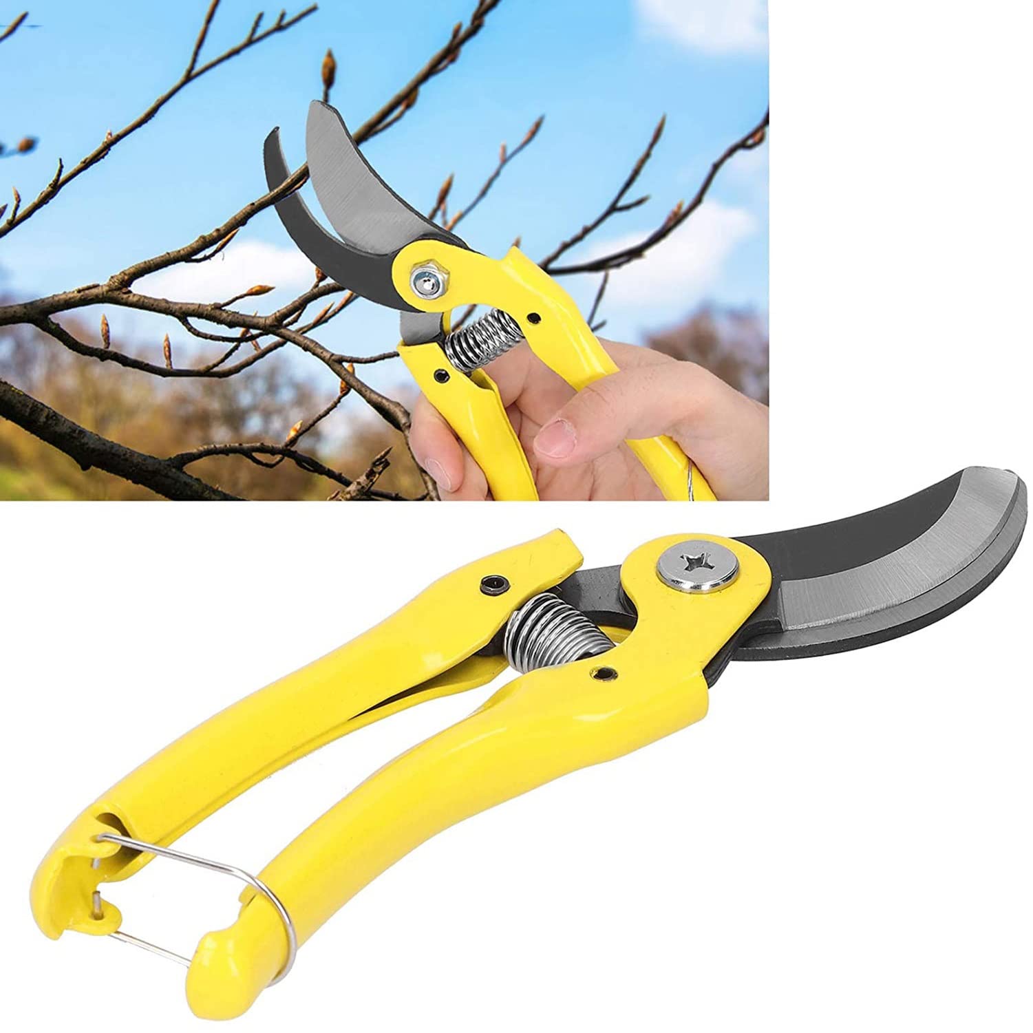 Forbici da potatura, Forbici Curve, Forbici da Giardinaggio multifunzionali in Acciaio Inossidabile per Agricoltori