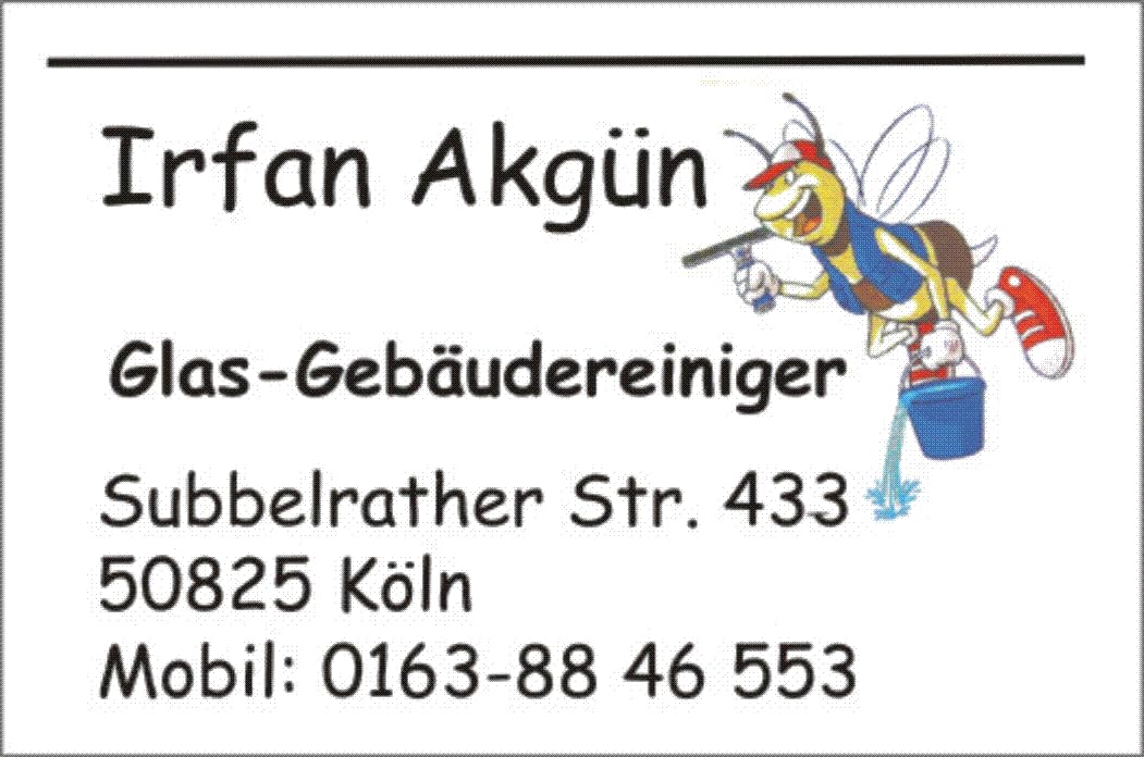 Visitenkarten, 1000 Stück, Beidseitig Bedruckt, 350 g Karton, mit Ihrem Logo und Daten, Inkl. Grafik, Druck und Lieferung (1000)