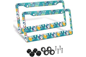 2PCS Naughty Stitch License Plate Frame | Corrosion Resistant Plates for Cars...