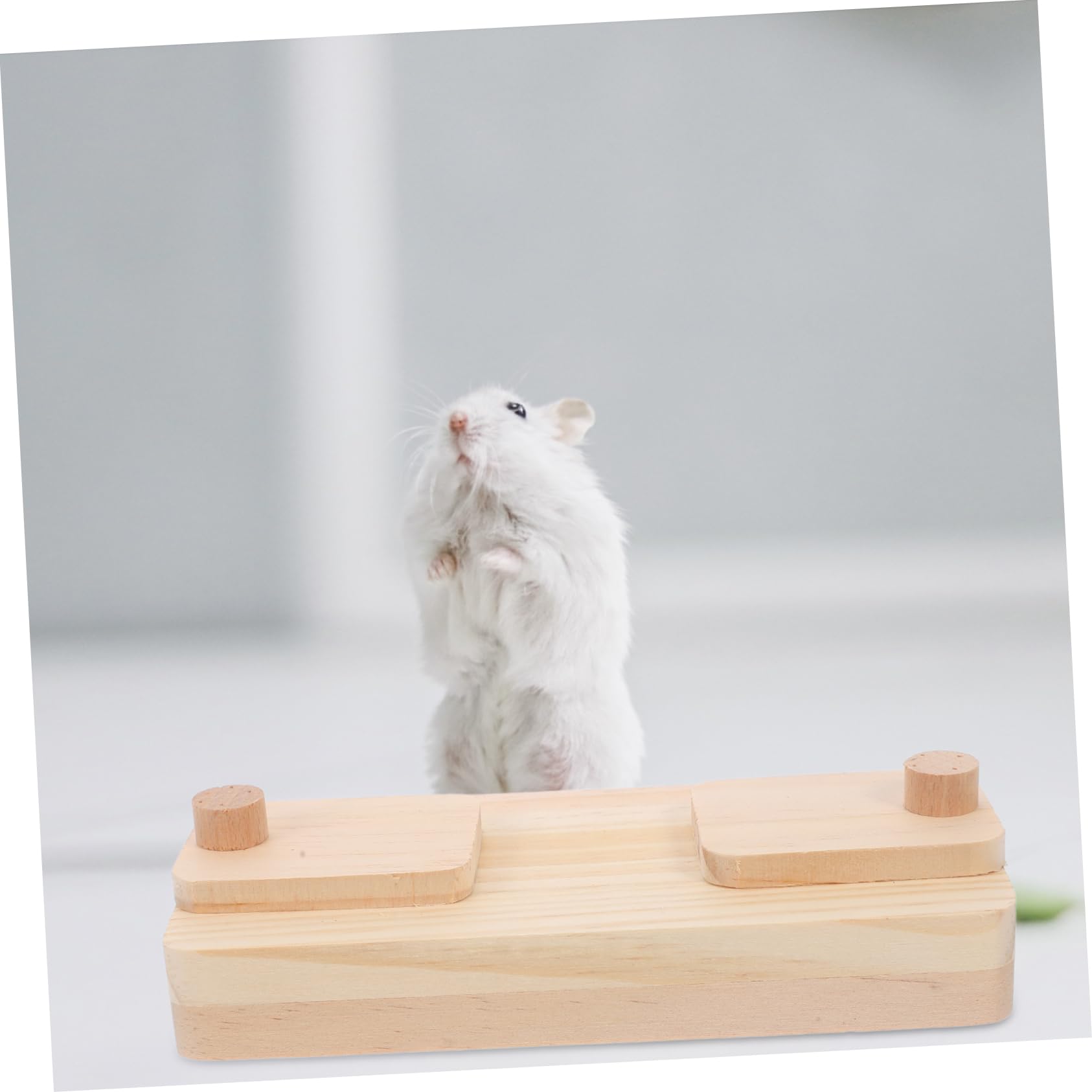 BESPORTBLE 8piezas Caja De Madera para Hámster Juguete De Alimentación y para Pequeñas Comedero Multifuncional para y Conejos Material Natural y
