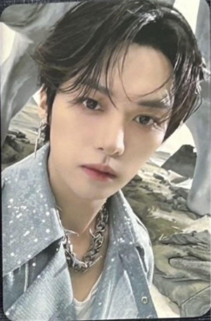 Amazon.co.jp: straykids リノ ate everline 特典 トレカ : おもちゃ