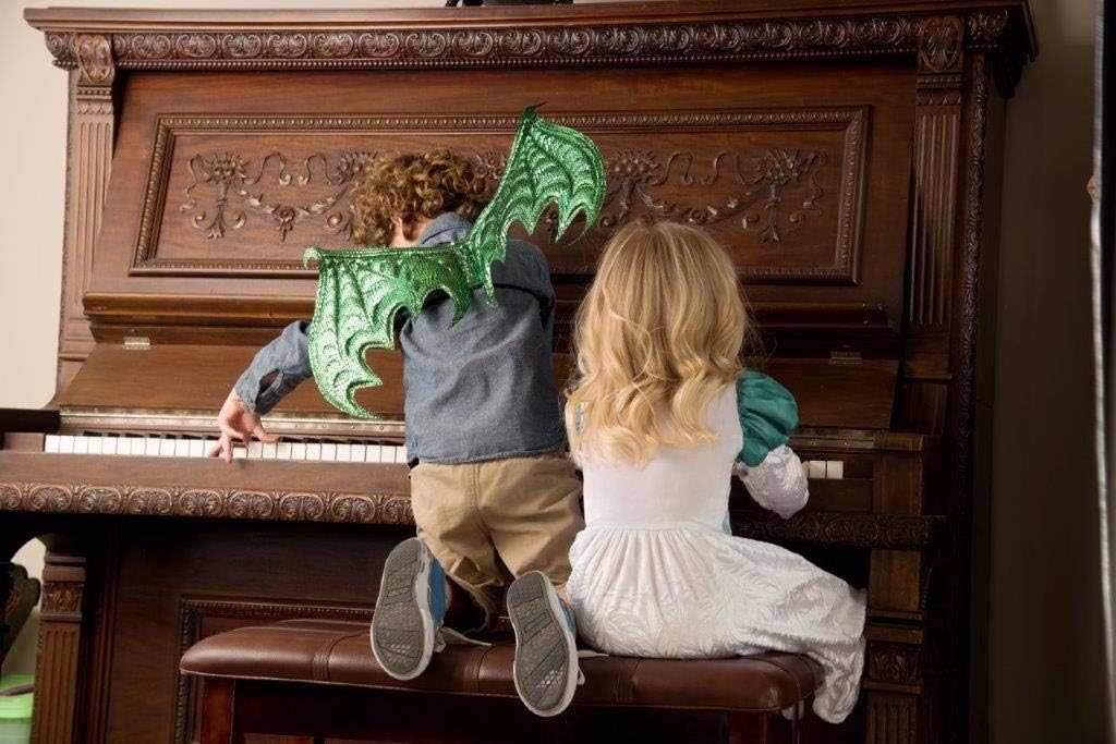 Little Adventures Reversible Dragon Mask and Wing Sets for Boys & Girls (Ages 3-8) (Green)
